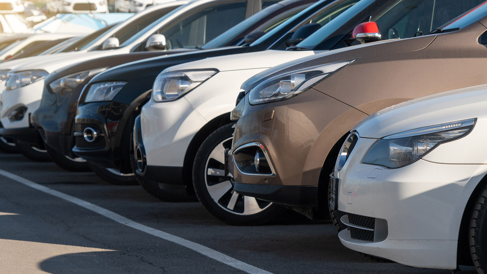 Alquiler de coches